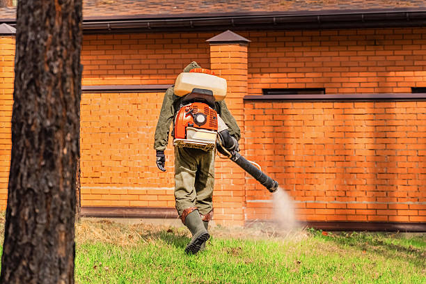 Trusted Rodent Control service in West Liberty, KY - Nex Pest Control